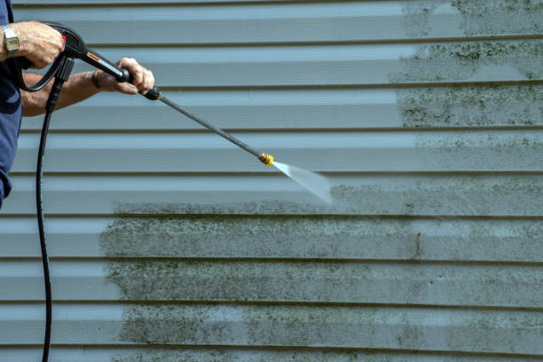 Best Gutter Cleaning  in Oconto Falls, WI